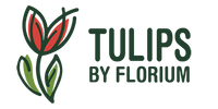 Інтернет-магазин Tulips. Цибулини тюльпанів, нарцисів, гіацинтів, та інших квітів під замовлення з доставкою по Україні