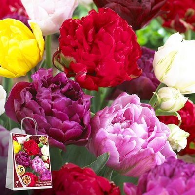 Микс Супермахровые тюльпаны (брендовый пакет) 220579 фото